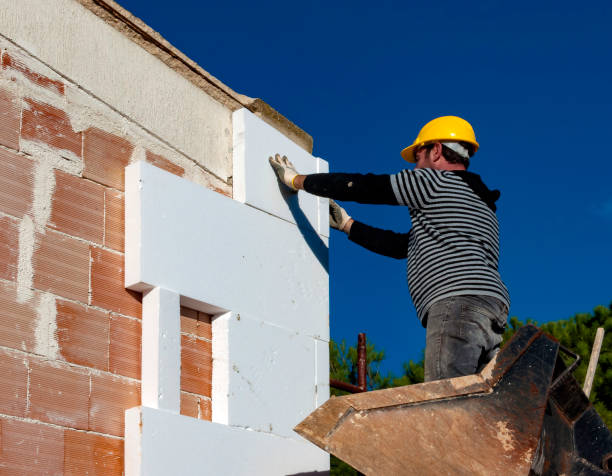 Best Insulation Repair Services  in Tsaile, AZ