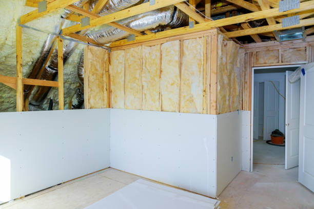 Best Commercial Insulation Contractor  in Tsaile, AZ