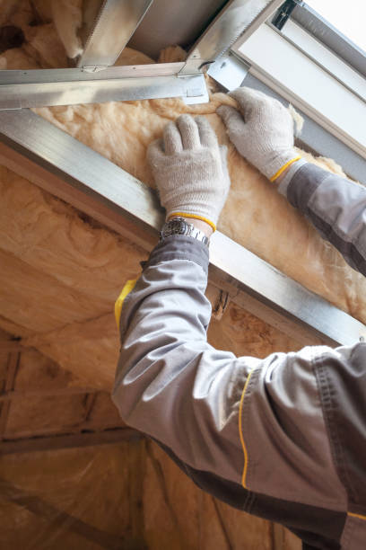 Best Affordable Insulation Services  in Tsaile, AZ