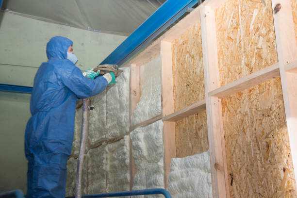 Best Insulation Removal  in Tsaile, AZ