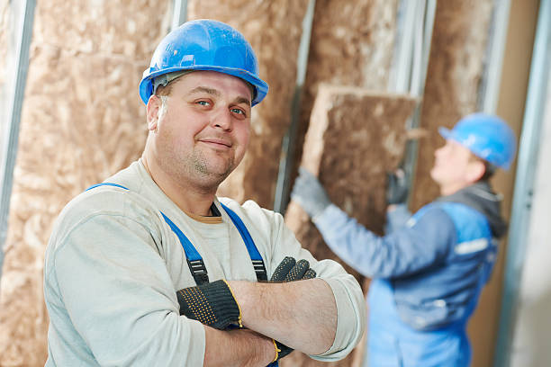 Best Cellulose Insulation  in Tsaile, AZ